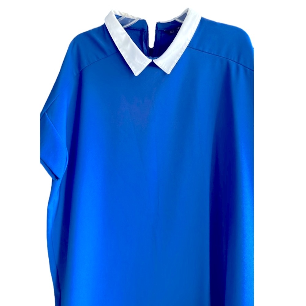 Zara Collared Dress - Picture 9 of 9